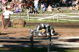IMG_6802