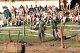 IMG_6837